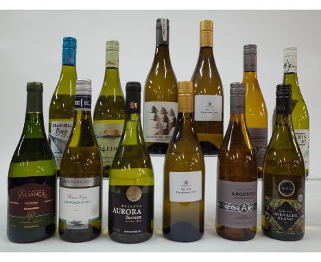 12 BOTTLES BRAZILIAN, ARGENTINIAN AND SOUTH AFRICAN WHITE WINECooperativa Nova Aliança Chardonnay 2021; Waipapa Bay Sauvignon