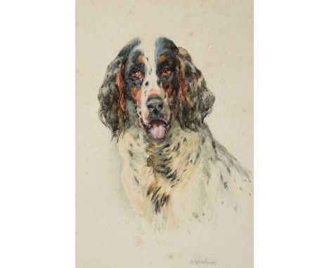William Woodhouse (1857-1937)Portrait of a SpanielSigned, watercolour, 18cm by 12cm