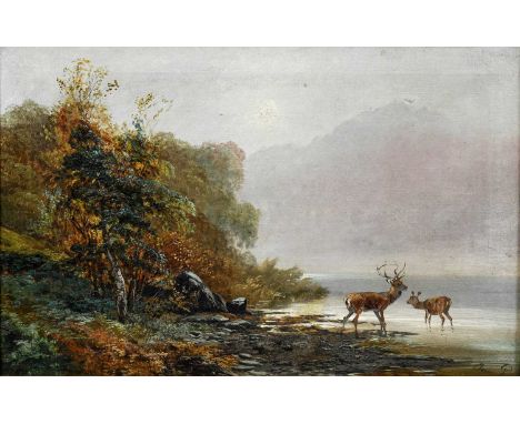 Clarence Henry Roe (1850-1909)Stag and doe drinking in Highland waters Signed, oil on canvas, 49cm by 74.5cmCondition report: