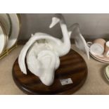 Ceramics: