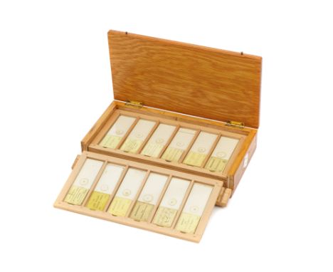A Collection of Microphotographs by J.B. Dancer,  all with labels for J.B.D except for three, in light wood flip case (24 sli