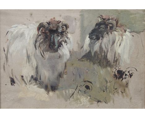 •NANCY JANE BURTON RSW (SCOTTISH 1891-1972) BLACK FACE SHEEP Oil on board, 24 x 34cm (9 1/2 x 13 1/4") Bears title inscriptio