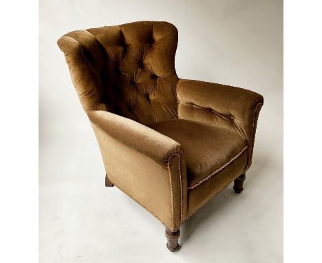ARMCHAIR, Edwardian walnut with deep button brown velour velvet upholstery and turned front supports. 