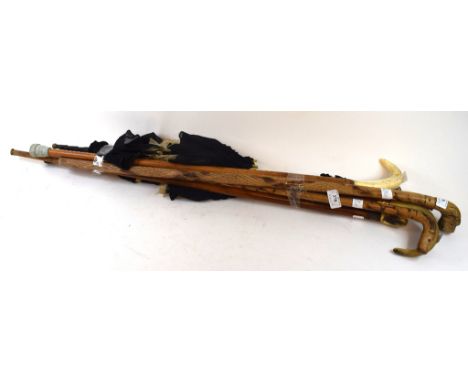 A walking stick, with carved dog's head handle, another similar, three other sticks, and a parasol (6)