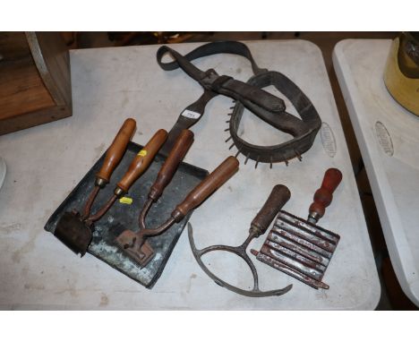 A large anti-suckling collar, two vintage clippers, curry comb etc.