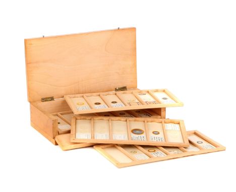 A Collection of 28 Microscope Slides, c.1980, English, Norman Groom, five arranged butterfly scale slides, 13 microphotograph