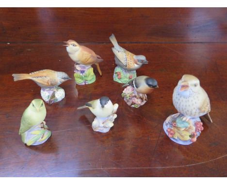 Seven Royal Worcester bone china birds - all good 
