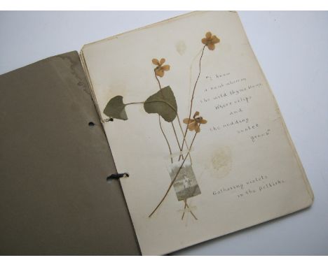 An Old Album circa 1900:  A SOUVENIR OF REVELSTOKE BY MARGUERITE WILLIAMS, containing approx. 7 pressed flowers and 8 photogr