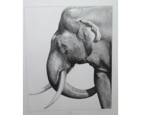 Gary Hodges (b.1954), Old Tusker, reproduction print, signed and numbered 530/850, 58cm x 46cm.; together with a further wild