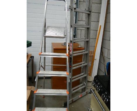 An aluminium step ladder and one other.
