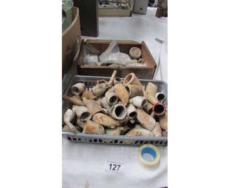 A good lot of clay pipe bowls and other fossils etc.,