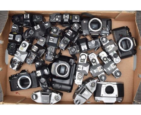 A Tray of SLR Camera Bodies, manufacturers include Canon, Ihagee, Ricoh, Pentax, Centon, Yashica and other examples, all unte