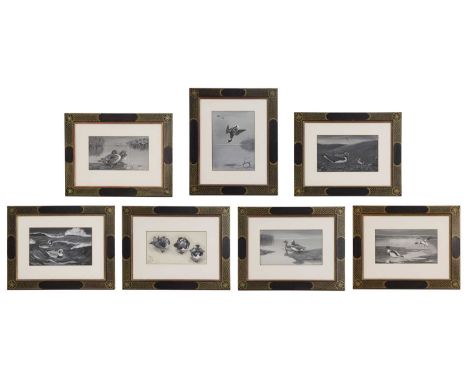 Hugh Wormald (20th century)Wild ducksa group of seven, some signed, inscribed and dated, watercolour and bodycolour19 x 29.5c