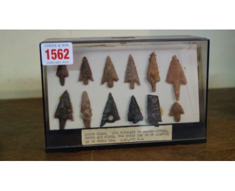 A display of twelve Neolithic flint arrow heads.