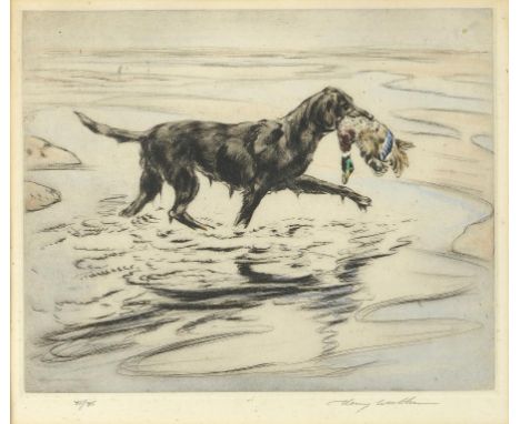 HENRY WILKINSON (1921-2011) FLY FISHERMEN; RETRIEVER  two, hand coloured etchings with margins, both signed by the artist in 
