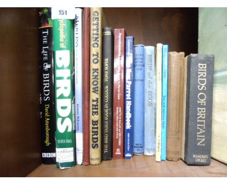 A Shelf of Bird Books, (Shelf).