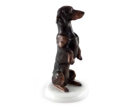 Fritz Diller for Rosenthal, a figure of a Sitting Dachshund, K.275, circa 1913, modelled on hind legs, printed marks, 16cm hi