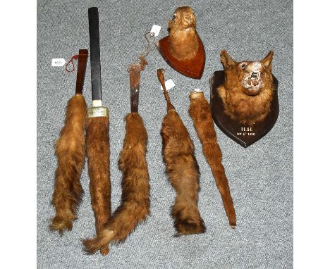 Taxidermy: A Collection of Hunting Trophies, a Red Fox mask looking straight ahead mouth agape, mounted upon a shaped oak shi