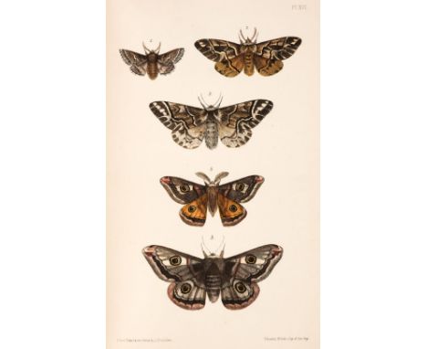 Morris (F.O.) A Natural History of British Moths, 4 volumes, London: Bell and Daldy, 1872, 132 hand-coloured lithograph plate