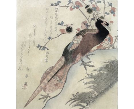 An 18th century print depicting a pair of Asian game birds, with a magnolia tree beyond, inscribed, with a red seal mark, 20 