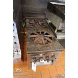 Radiance stock pot range TASP-18-D