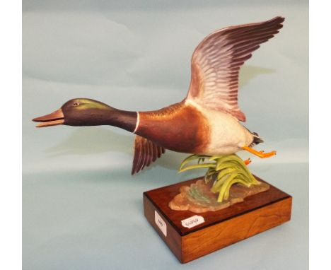 A Royal Worcester limited edition figure, Mallard Drake, 253/500, RW3813, boxed with certificate Condition report Very good c