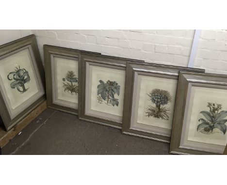 A set of six large framed limited edition botanical prints, approx 65x77cm