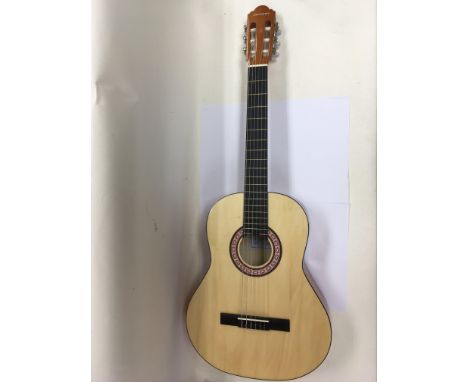 A Chantry nylon string acoustic guitar in a soft carry case.