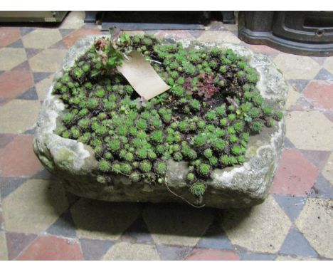 A weathered rough hewn rectangular natural stone trough containing succulents, 55cm long x 40cm wide x 20cm deep approx 