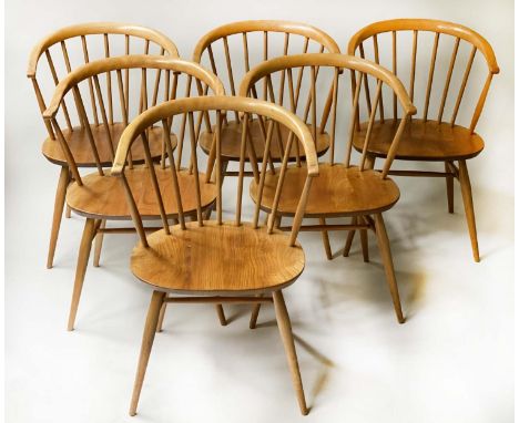 ERCOL COWHORN CHAIR, 48cm W, six, by Lucian Ercolani. (6) 