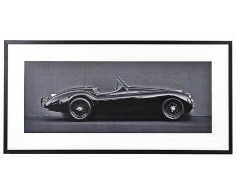 PHOTO PRINT OF A JAGUAR, 61cm x 123cm, framed and glazed. 