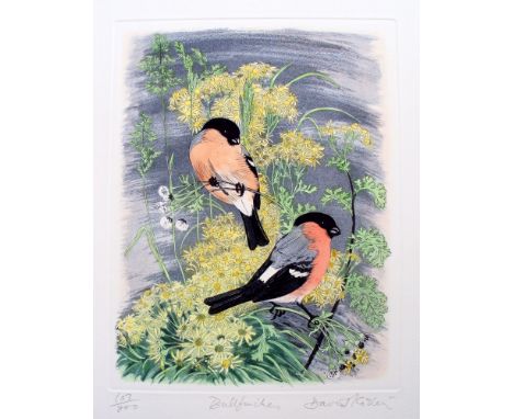 David Koster Bullfinches lithograph 103 of 200 signed 51 x 39 cm unframed On show at the Curwen Gallery  RRP £ 125