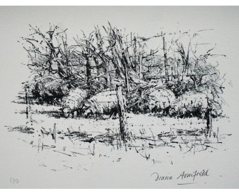 Diana Armfield Welsh sheep seen from the window lithograph 75 of 150 signed 25 x 32 cm unframed On show at the Curwen Gallery