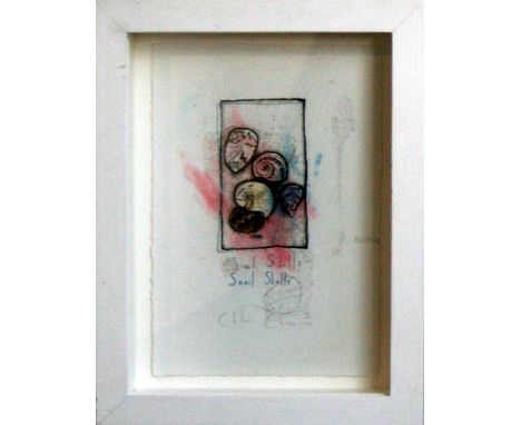 Chloe Cheese Snail Shells lithograph 75 of 100 signed 15 x 10 cm framed   On show at the Curwen Gallery  RRP £ 90