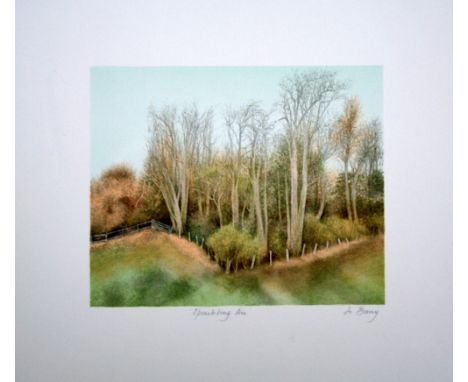 Jo Barry Sparkling Air lithograph 178 of 200 signed 37 x 40 cm unframed On show at the Curwen Gallery  RRP £ 45