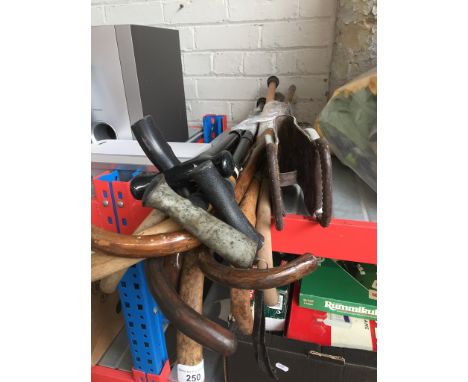 A large bundle of walking sticks, and including a shooting stick 
