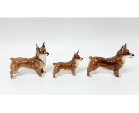 Two Royal Doulton model Welsh Corgi HN2558, together with another HN2559 (3)Condition report: H2559 has a restored ear, the o