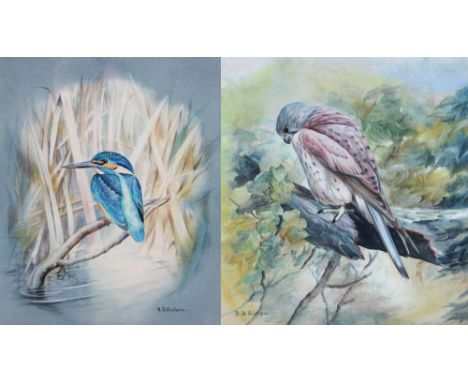 R D KRISTUPAS; pair of watercolours, two bird studies of a kestrel and a kingfisher, signed lower left and right respectively