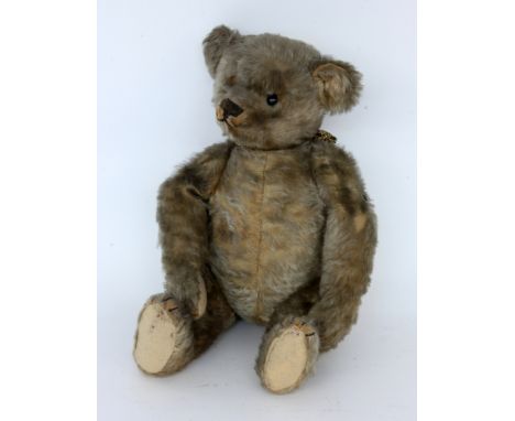 STEIFF TEDDYBÄRum 1904/05 Weisses Fell, Drehkopf mit Schuhknopfaugen. Blanker Knopf im Ohr. Füllung Holzwolle. L.40cm. Gebrau