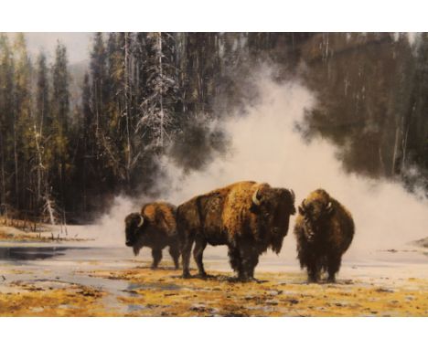 A framed limited edition signed David Shepherd print "The hot springs of Yellowstone", number 700 of 1500, 78cm wide, 62cm hi