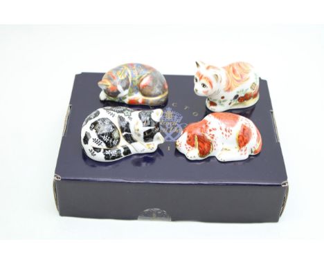 Four Royal Crown Derby Paperweights, Misty Kitten, Catnip Kitten, Spice KItten and Puppy, all exclusive to the Royal Crown De