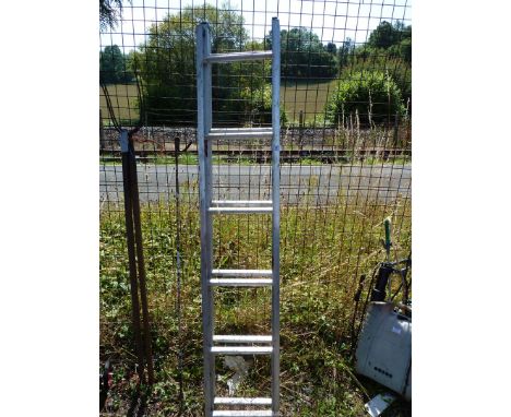 An extending aluminium step ladder. 