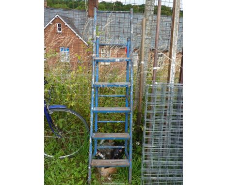 A six rung step ladder, opening out to an extension.