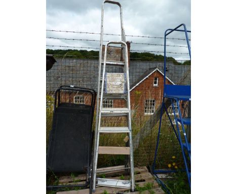 An aluminium eight rung step ladder and a five rung step ladder.