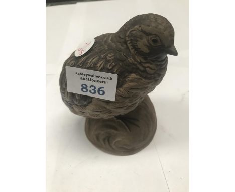 A POOLE  QUAIL 