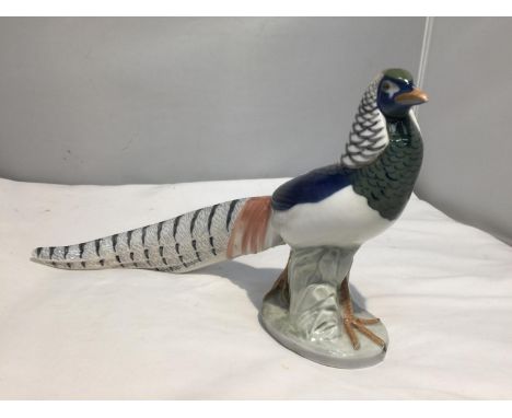 A LARGE ROYAL COPENHAGEN CERAMIC PHEASANT MODEL , NUMBER 1881 ? LENGTH 32CM 