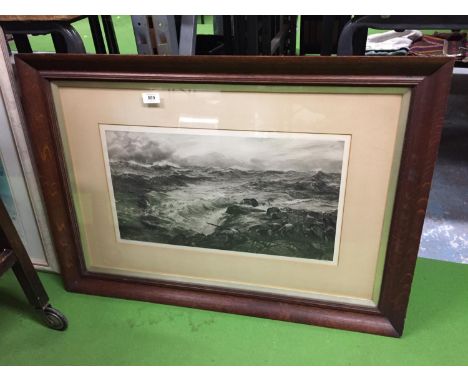 AN OAK FRAMED PRINT CALLED BIRDS OF PREY DATED 1905 BY C NAPIER HEMY 