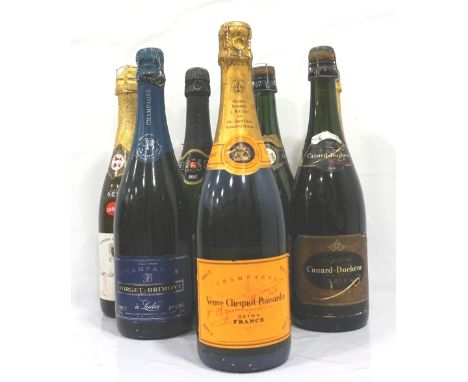 SELECTION SPARKLING WINE/ CHAMPAGNEA selection of eight bottles of Champagne and Sparkling wine including:  Veuve Clicquot Po