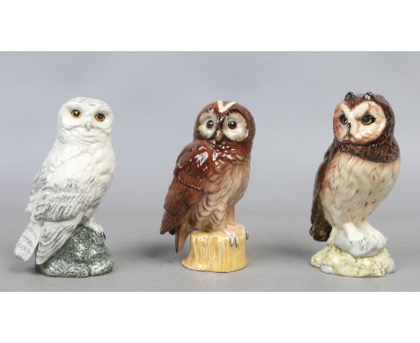 Three Royal Doulton models of owls advertising Whyte & Mackay Scotch Whisky including short eared, snowy and tawny owl.