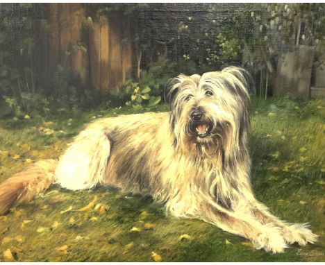 Edna Bizon (British 1929-2016): Portrait of a Briard in a Garden, oil on canvas signed 34cm x 44cm 